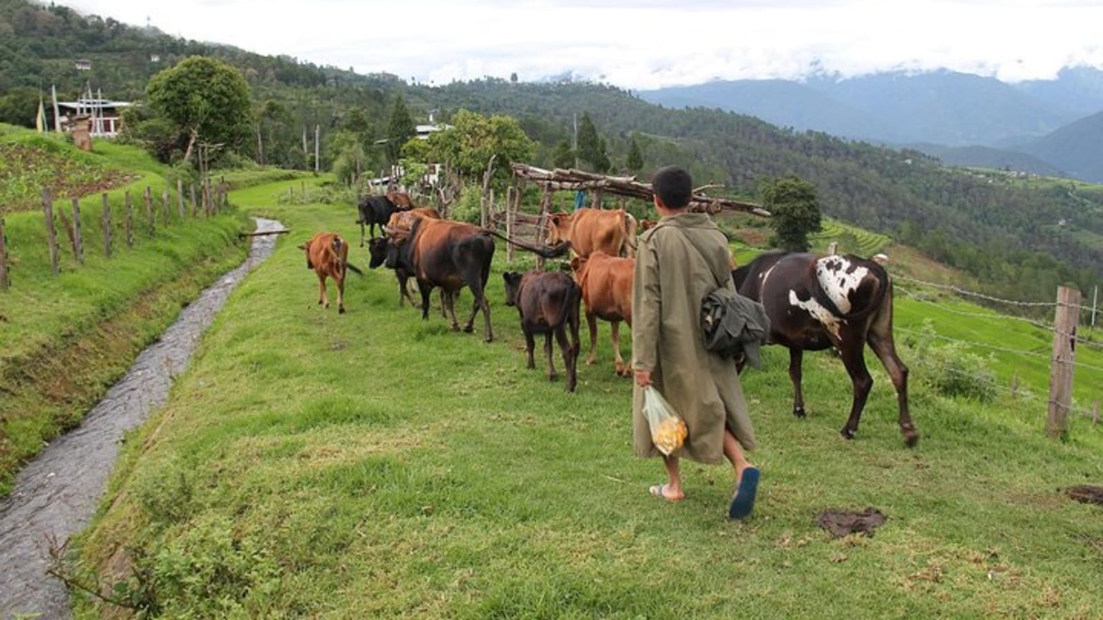 7 Days The Magical Kingdom of Bhutan