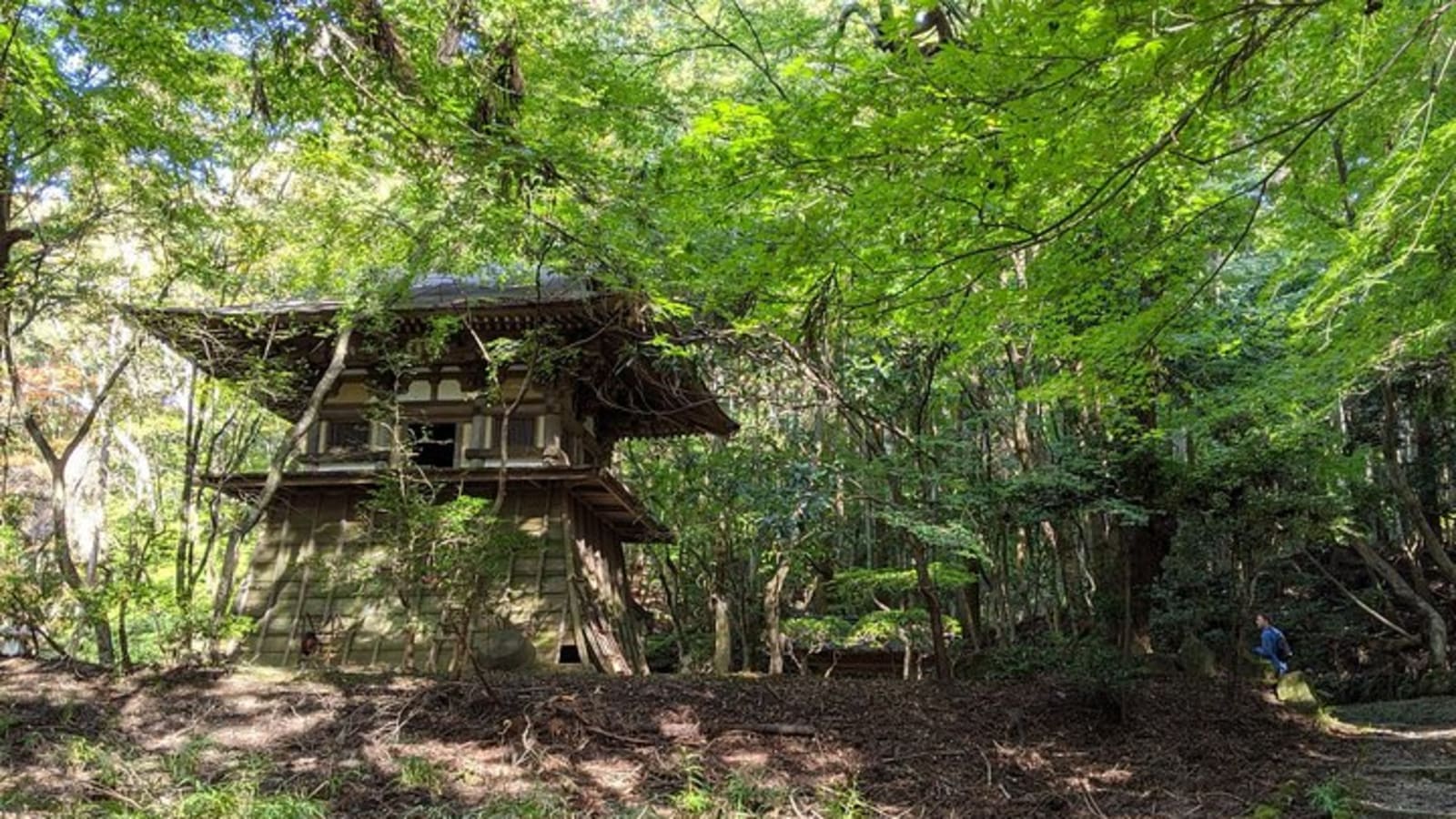 Private Nara Heart of Nature Bike Tour