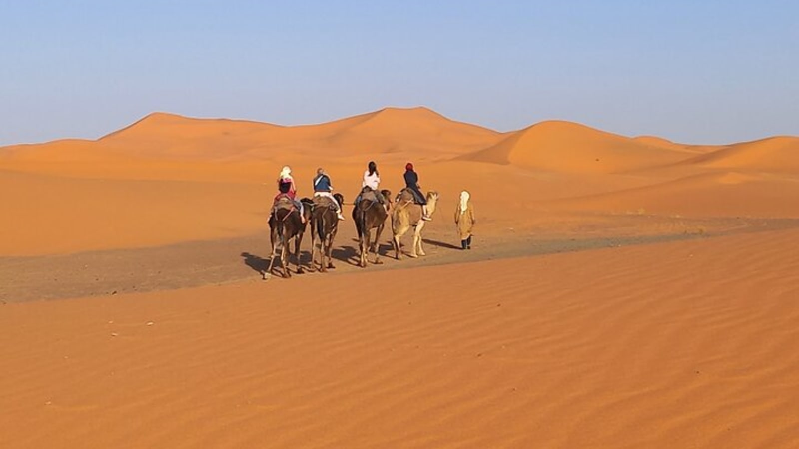 Ride the Camels for Sunset in Merzouga Dunes
