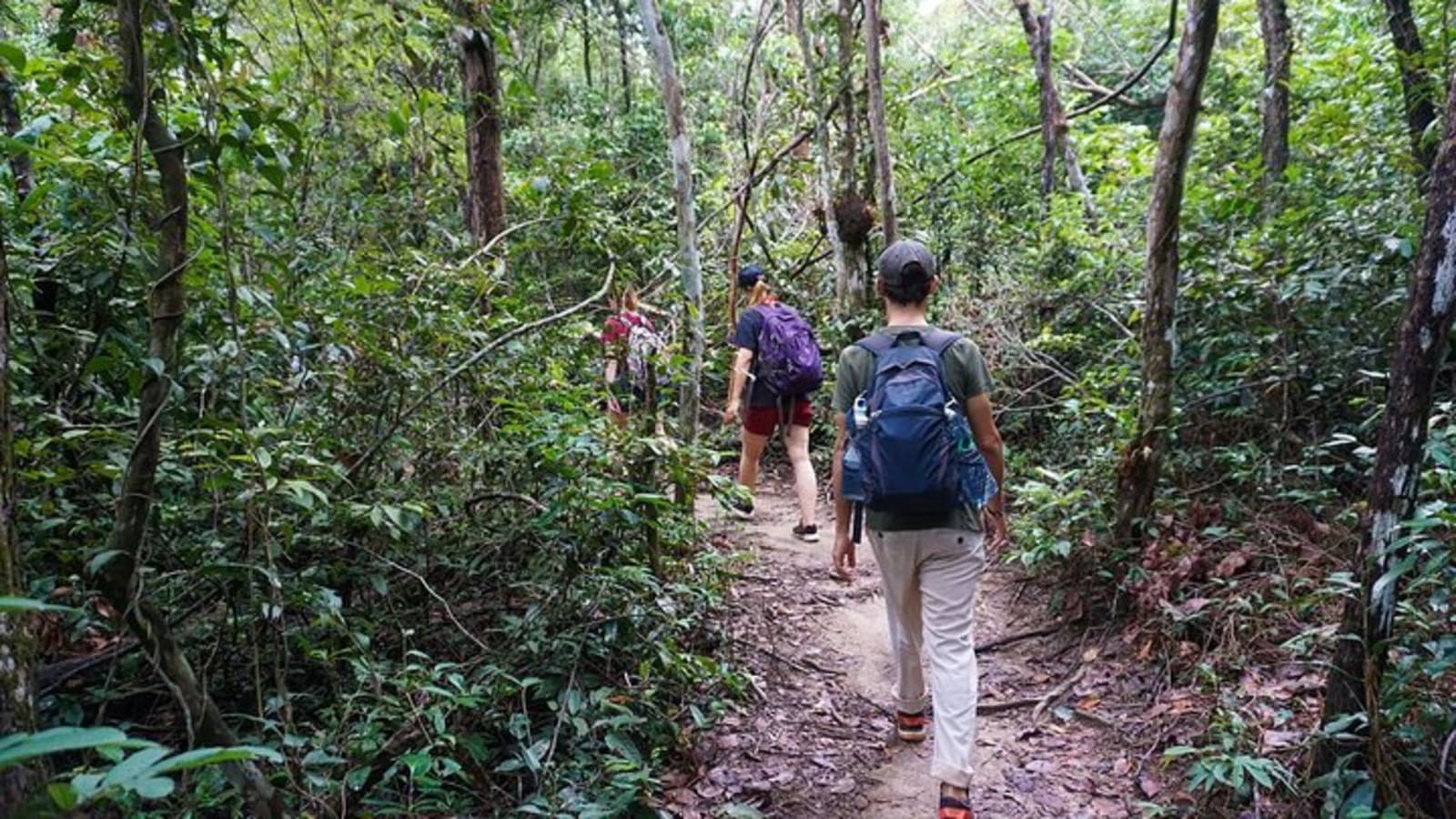Jungle Trekking Tour at Phnom Kulen National Park from Siem Reap