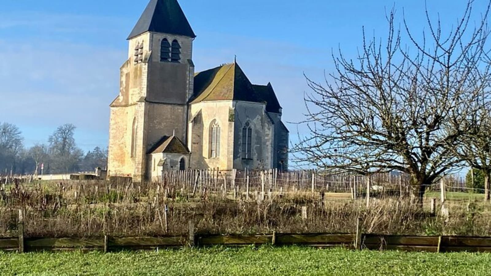 Private Burgundy 3 Domaines Chateau Pommard Chablis 15 Wines Trip