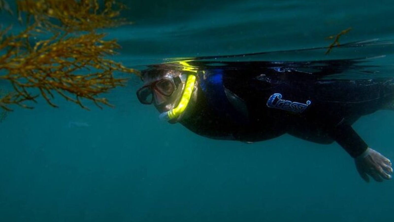 Kayak and Snorkeling Adventure in Arrabida