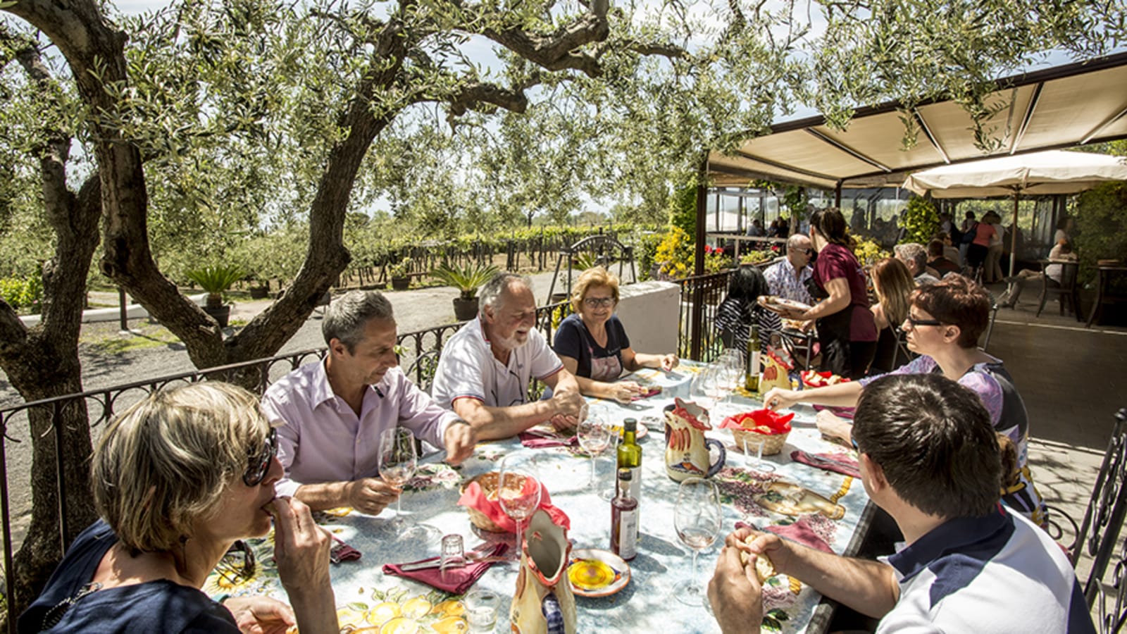 Vesuvius Wine Tasting Guided Tour with Lunch Included