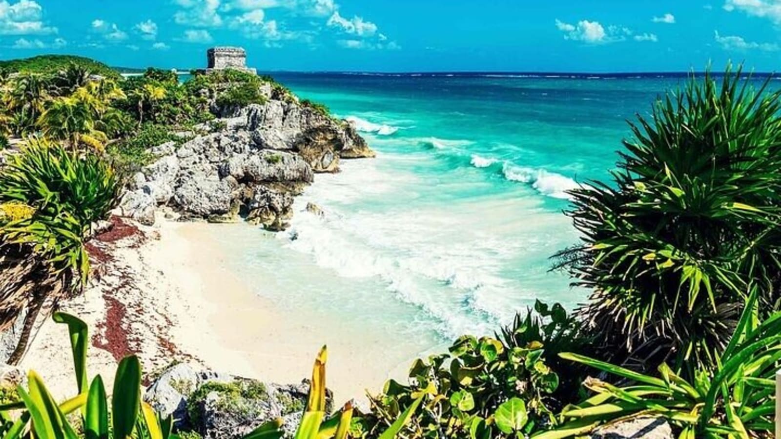 Full Day Tulum Ruins Tour Cenote and Swimming with Sea Turtles
