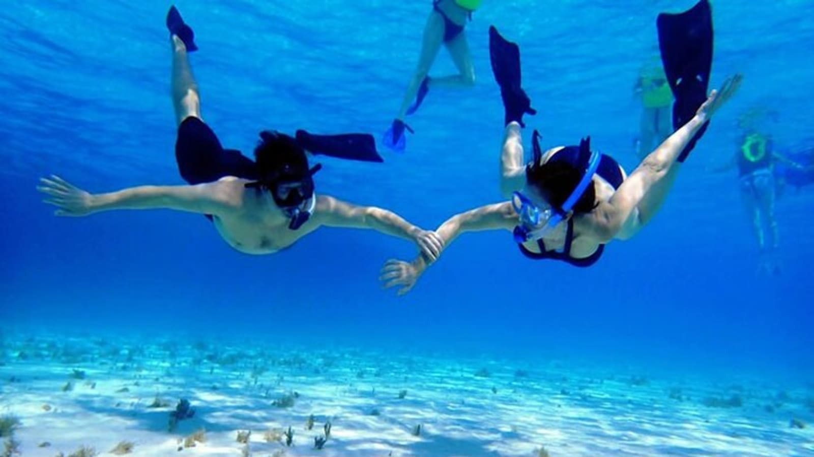 Cozumel El Cielo Sandbar and Reef Snorkeling Private Adventure