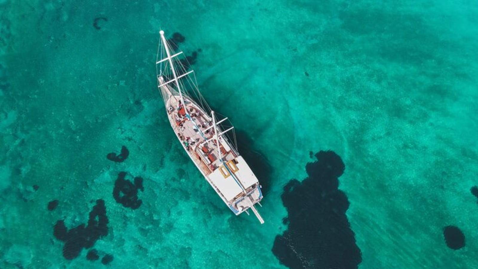 Unique sailing experience to Aegina-Metopi and Skala