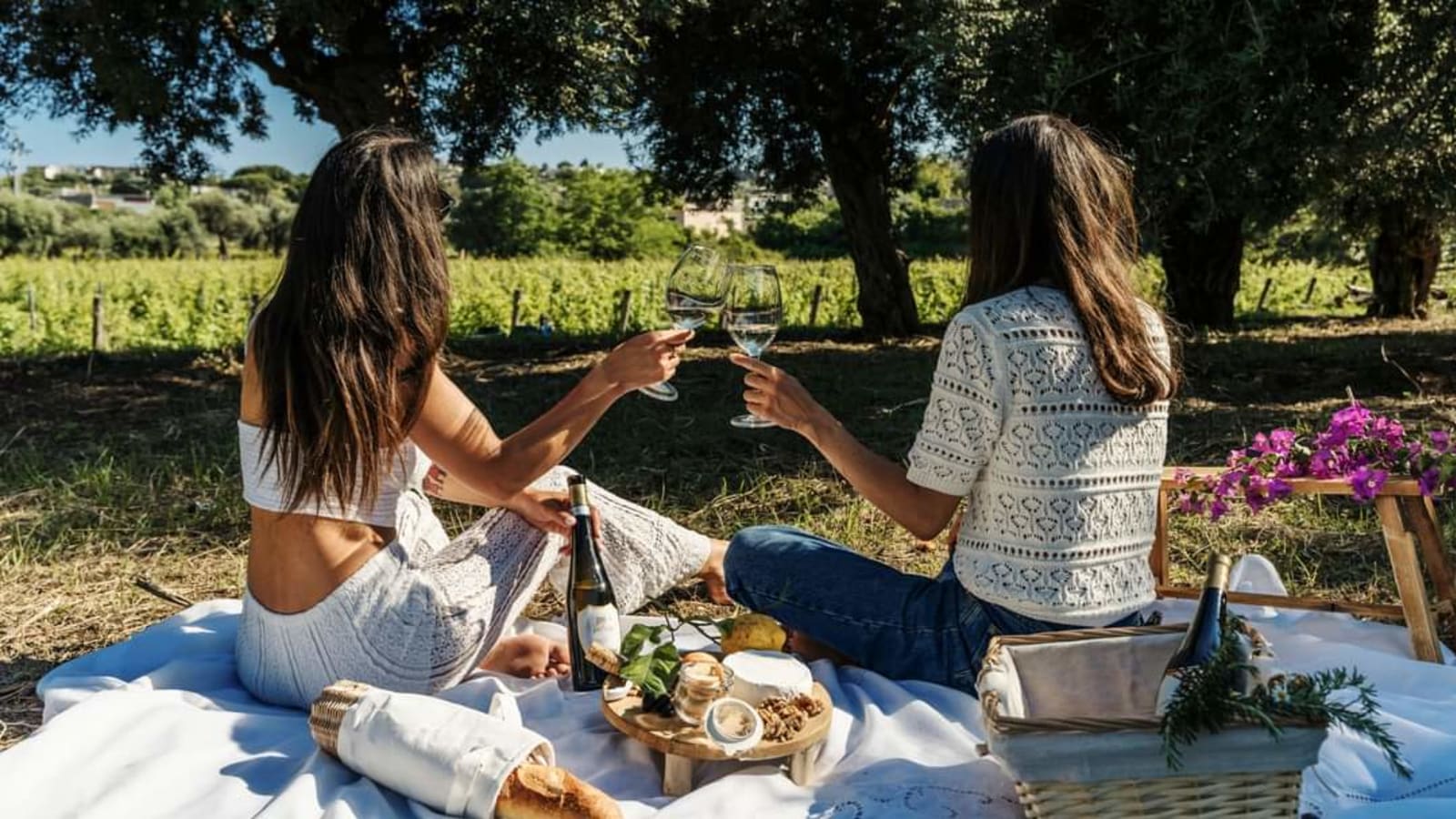 Ischia: 3 Hours Wine Tasting Experience, Vineyards & Pick-up