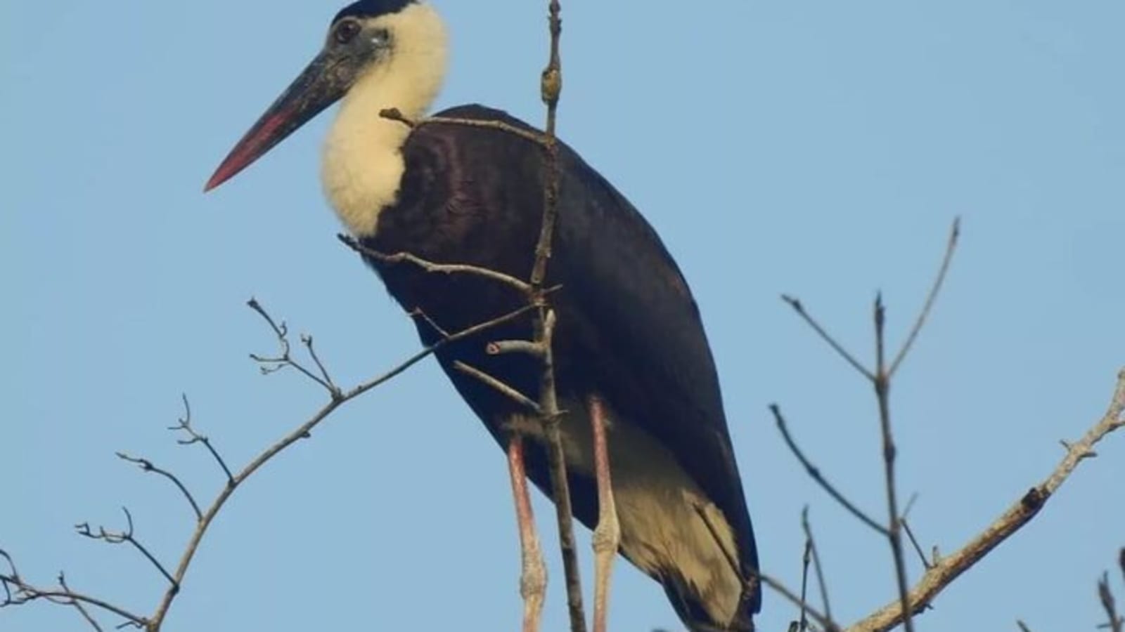 3-Day Ujung Kulon National Park Private Guided Tour