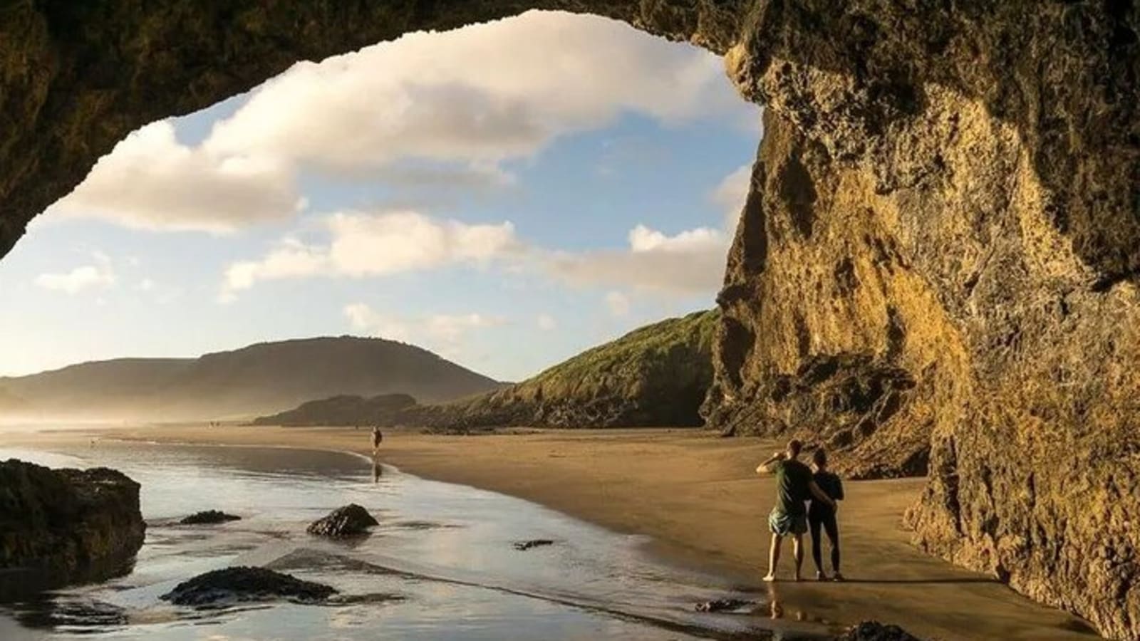 Explore West Auckland with Winery