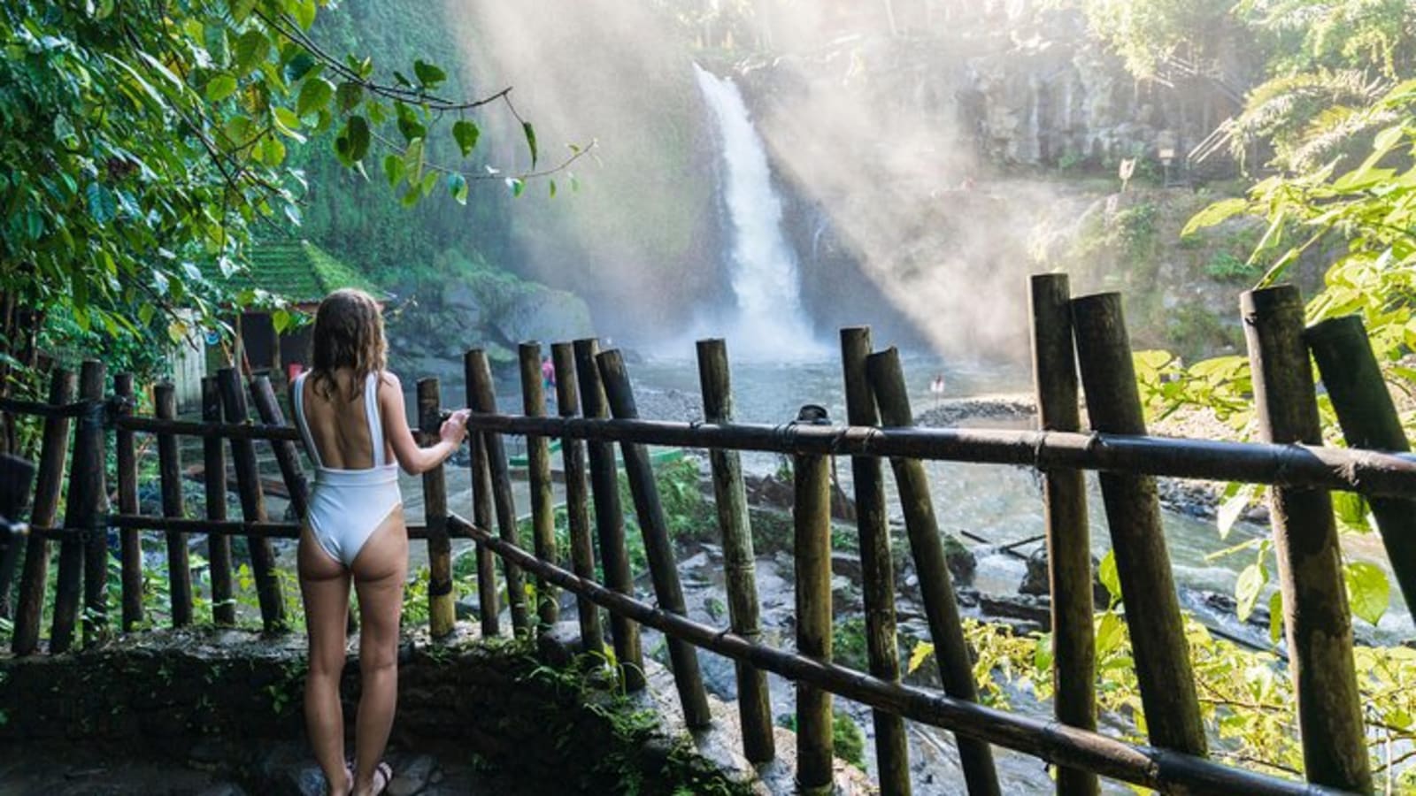 Private Tour: Ubud Highlights