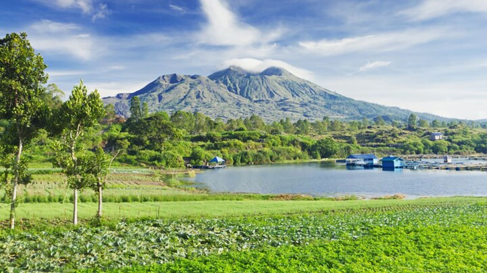 Private Tour: Bali Volcano with Jungle Swing Experience