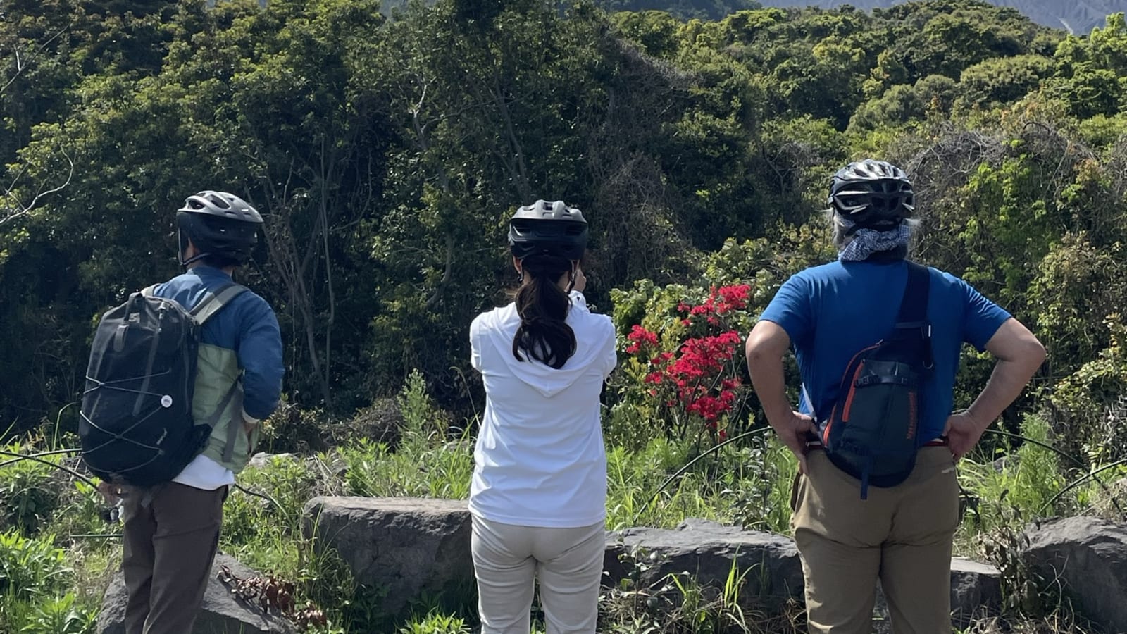 【1組限定】 ～霧島錦江湾国立公園「活火山桜島」～ 活きた火山を目の当たりに、ジオと島に暮らす人々との つながりを体感する『E-BIKEワンデイツアー（ガイド付き）』