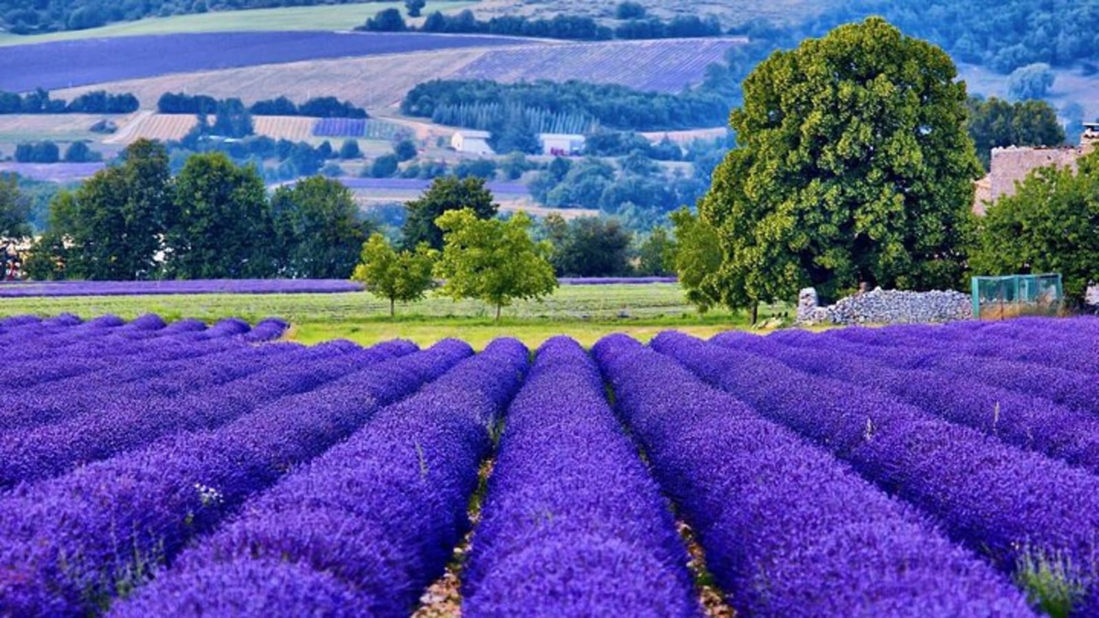 7-day Private Burgundy Wine tastings, Provence, Nice, Monaco Tour.