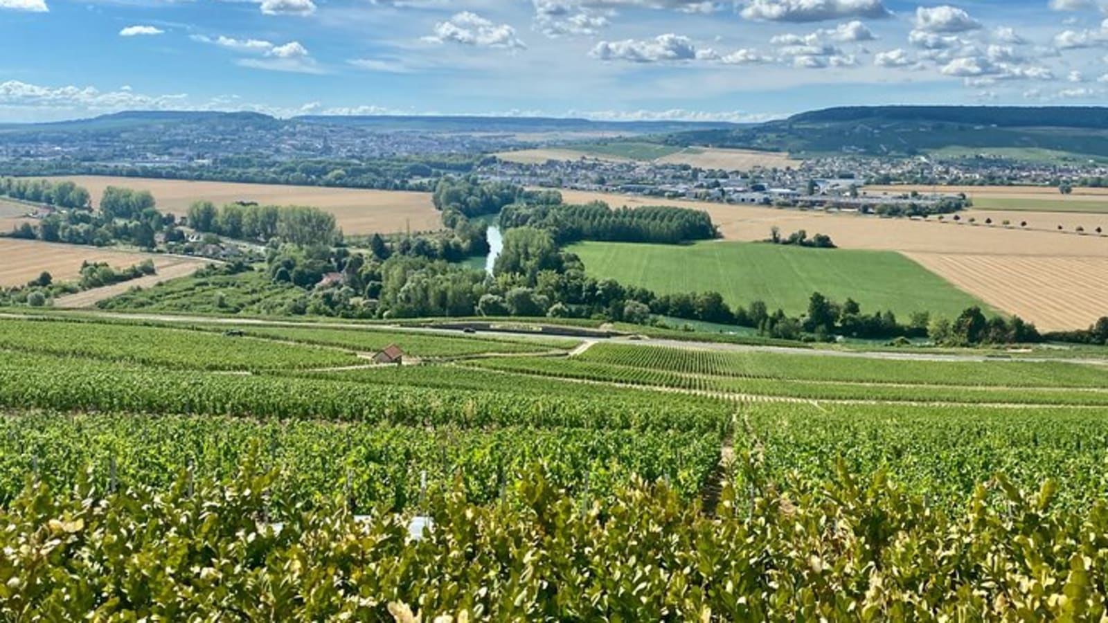 Champagne Boizel since 1834 Half day Private trip from Paris.