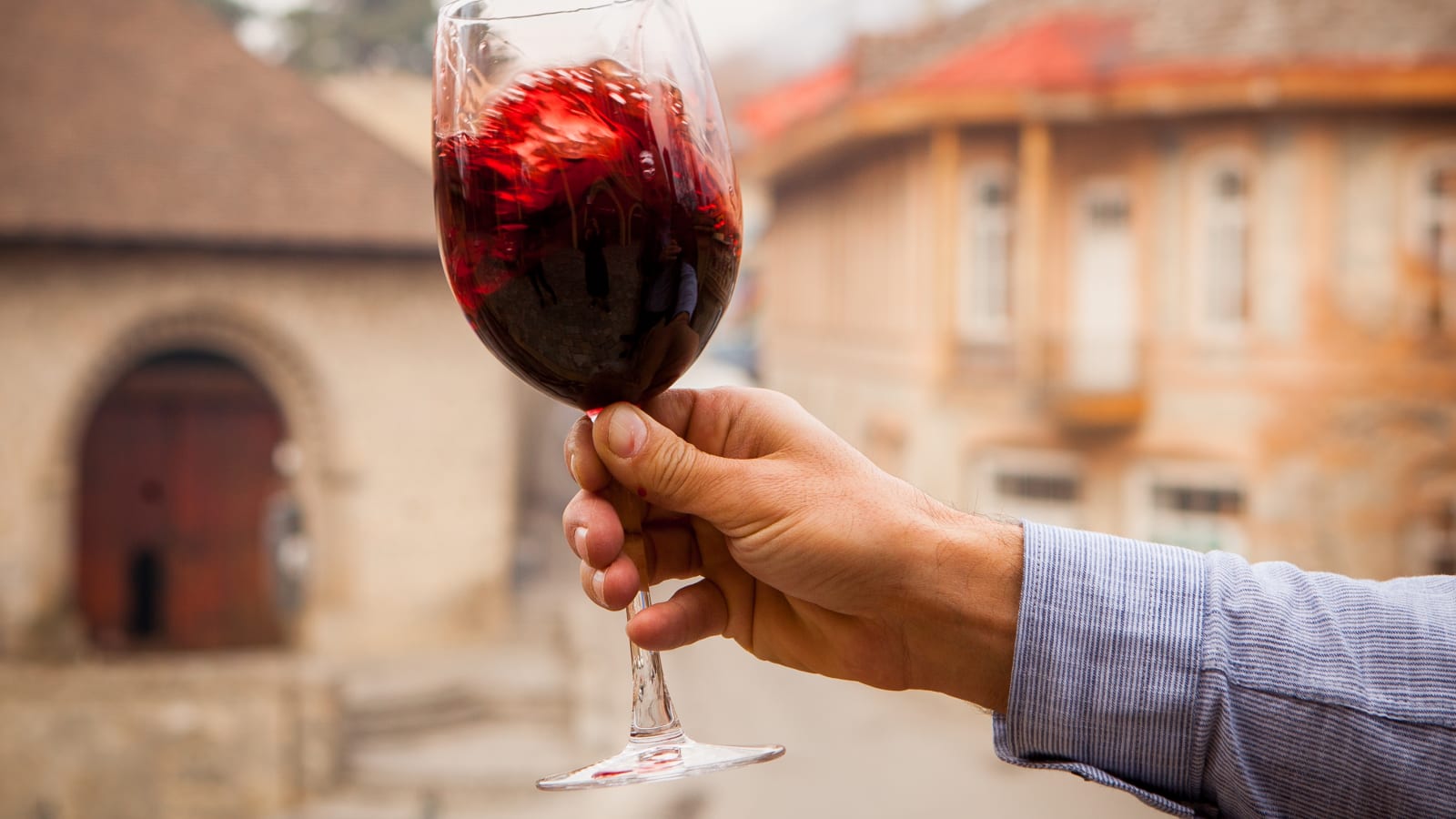 Day Trip Delights: Private Etyek Wine Tour & Budapest Danube Evening Cruise from Budapest