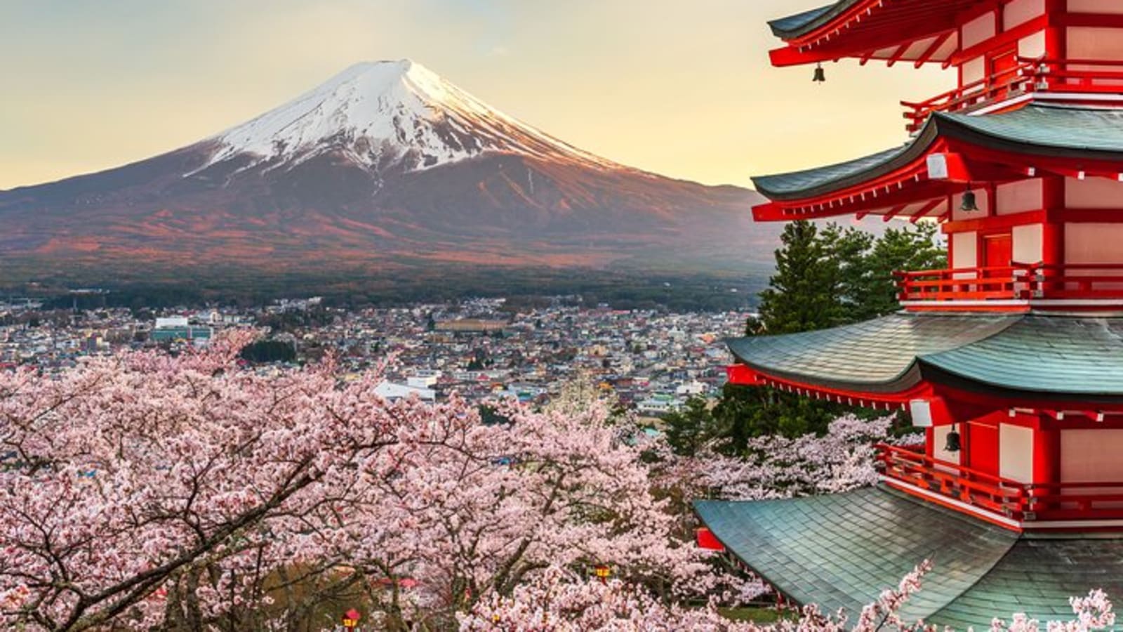 Mt Fuji Private Day Trip from Tokyo with English speaking driver