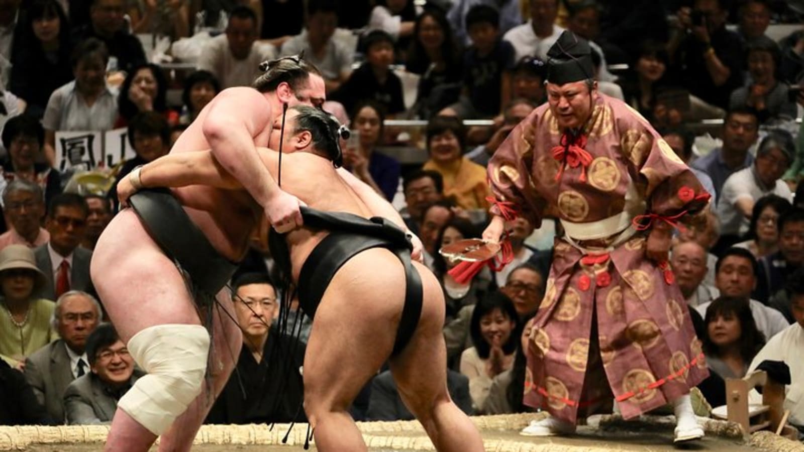 Nagoya: Grand Sumo Tournament Tour