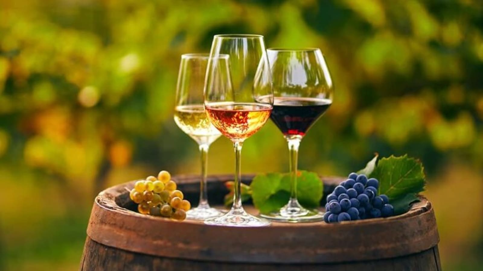 Cheese and Wine Tasting Tour From Chania