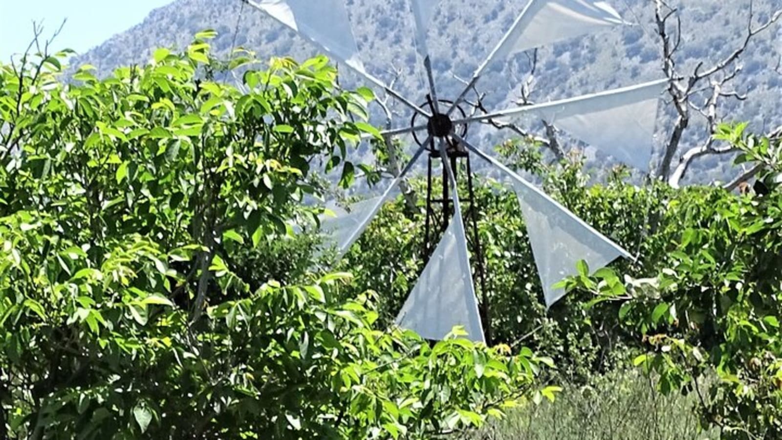 Small Group Tour to Authentic Villages Lasithi Plateau&Olive Mill