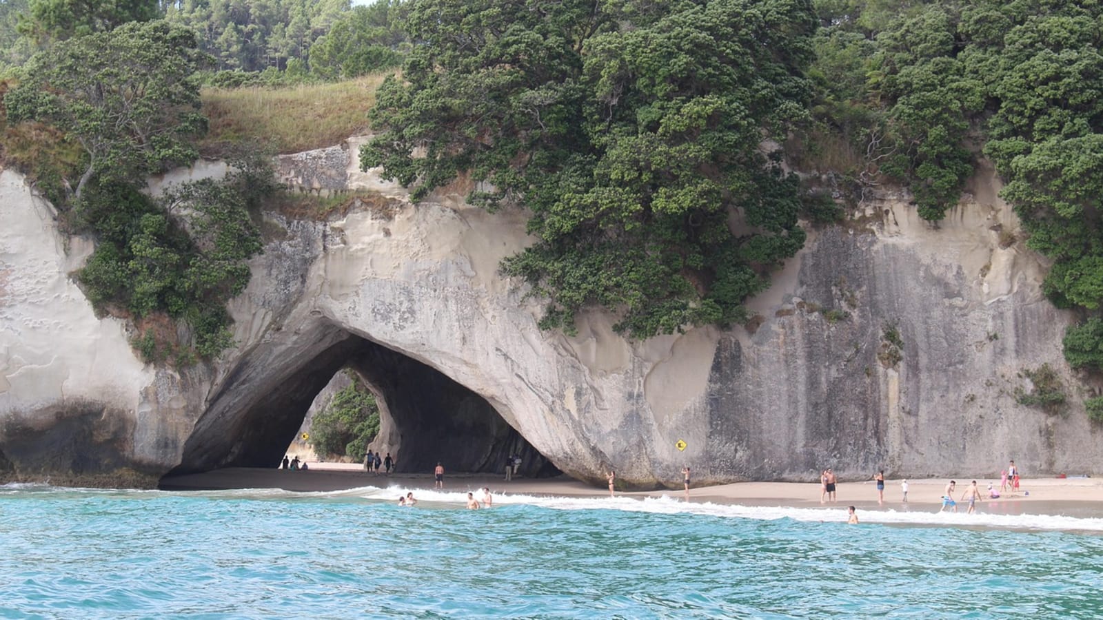 The most comprehensive all-inclusive Coromandel Peninsula tour over two days