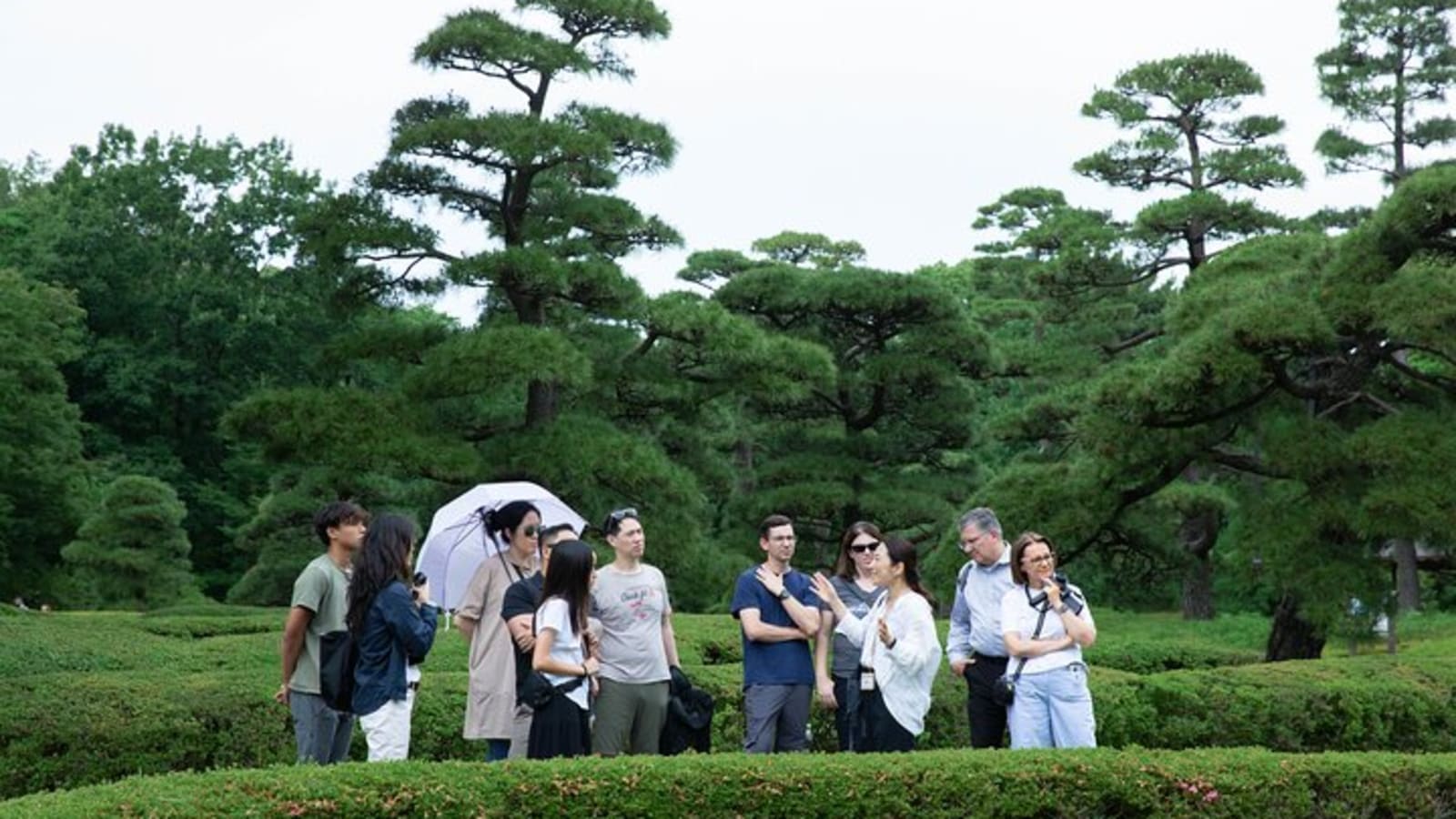 Imperial Palace East Garden and Edo Castle Walking Tour in Tokyo