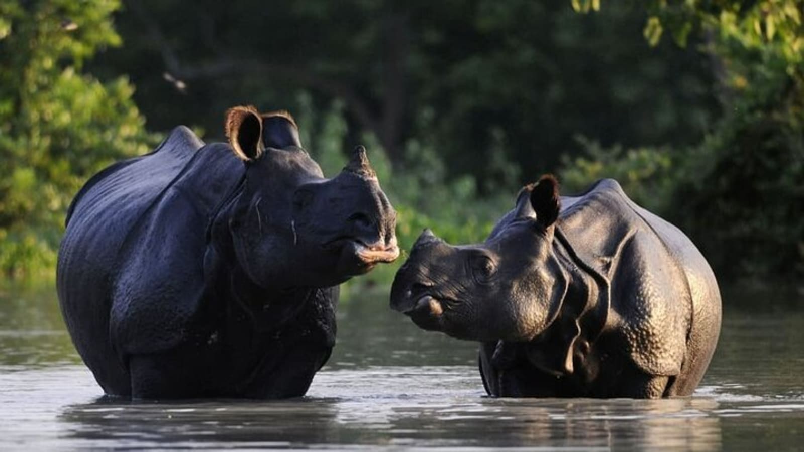 Guwahati, Kaziranga & Majuli Island Tour