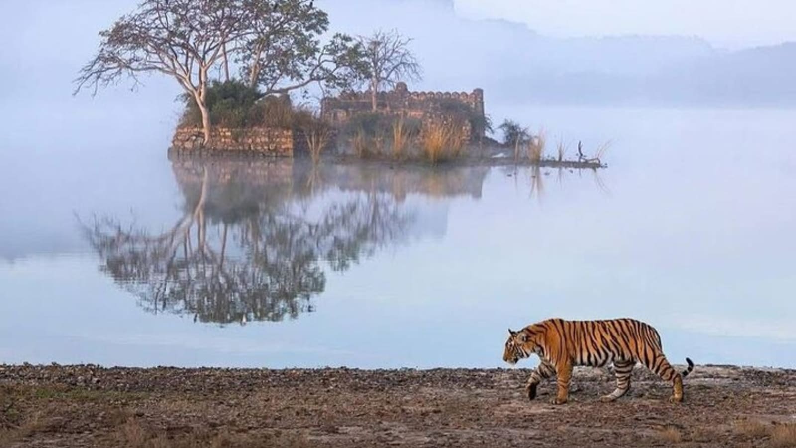 Golden Triangle With Bird & Tiger Safari Expedition
