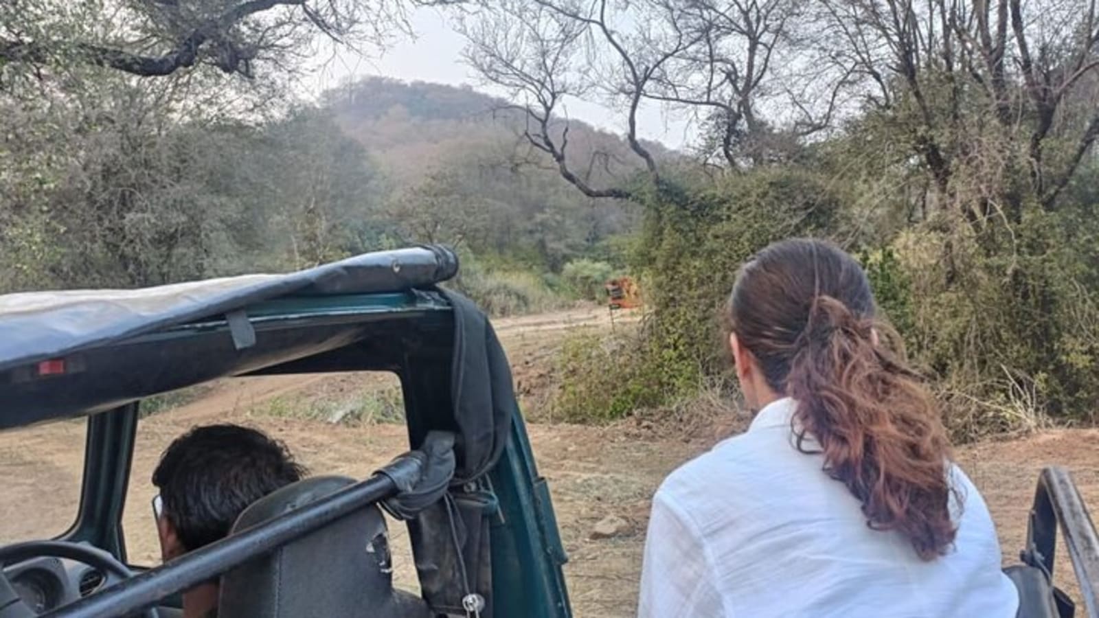 Delhi to Sariska National Park: A Thrilling Wildlife Excursion