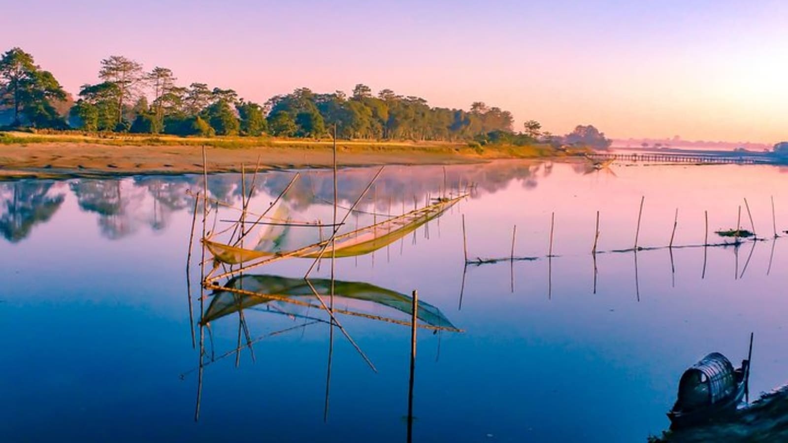 Private Assam Tea Estate, Rain Forest and River Island Tour