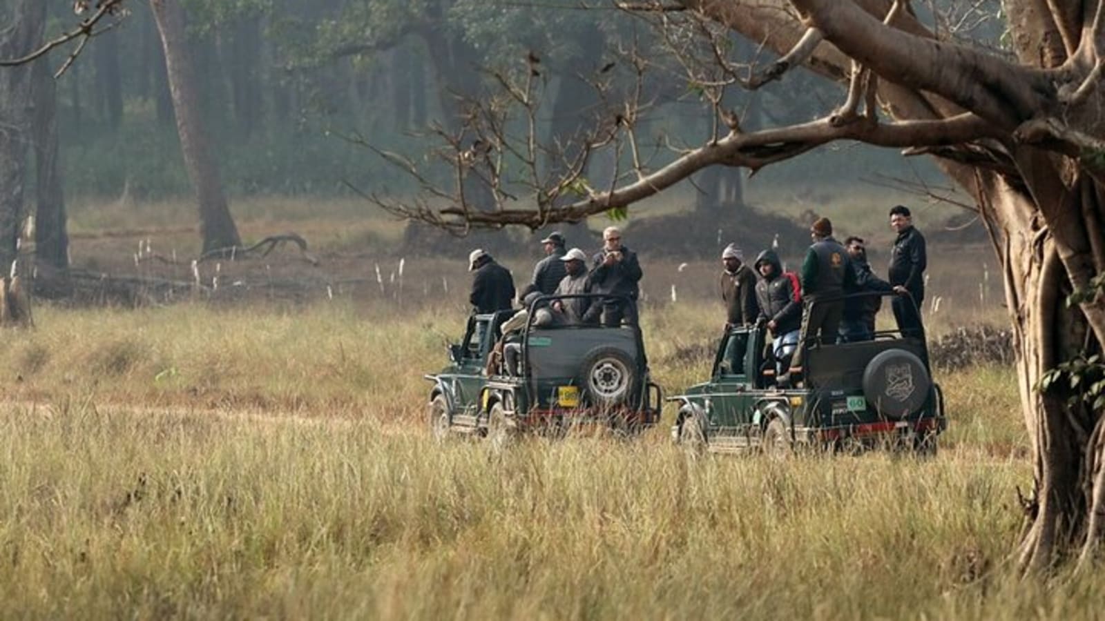 Incredible Wildlife Safari in Heart of Central India