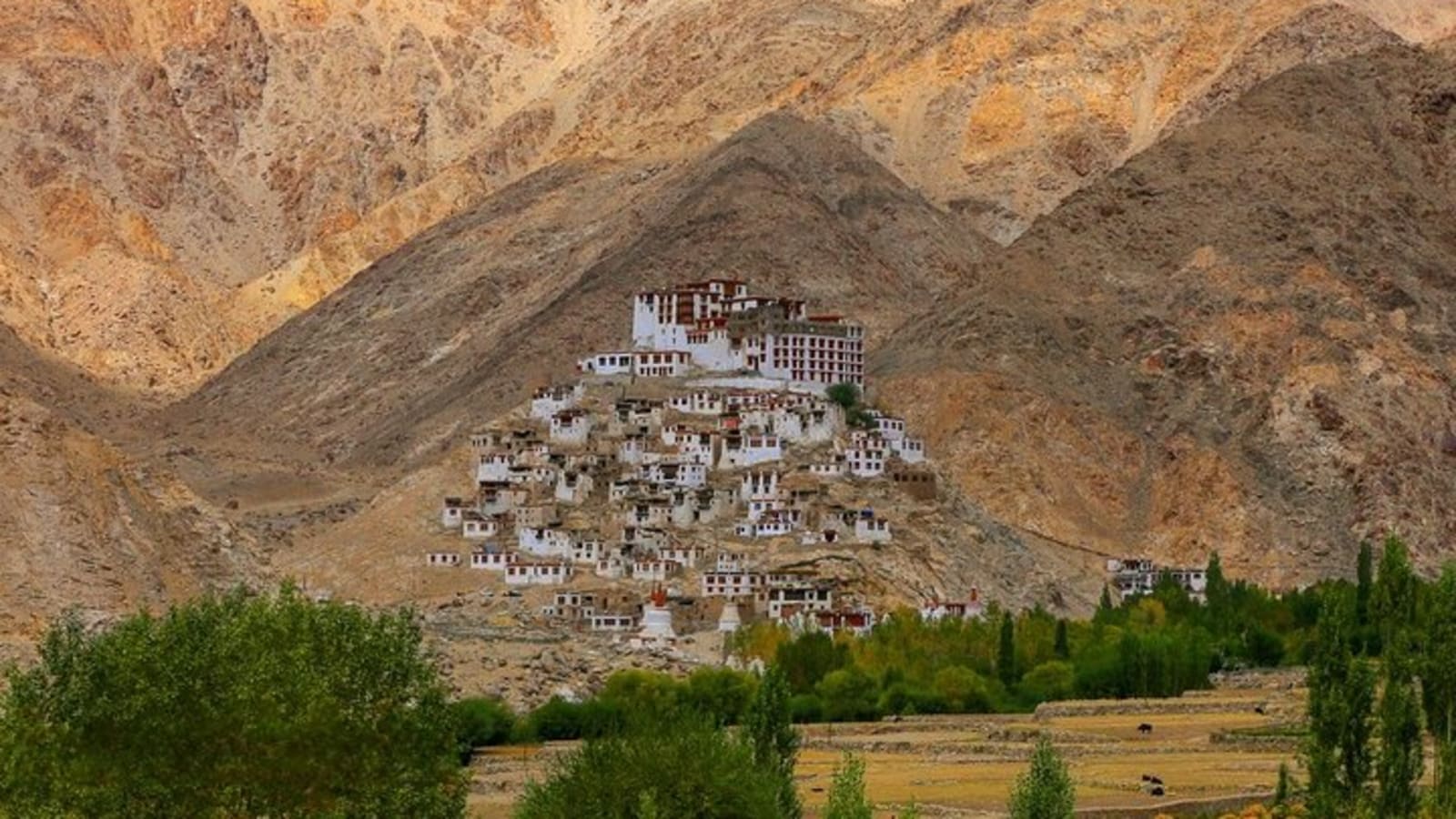 Laddakh Valley Tour (Leh, Nubra & Pangong Lake)