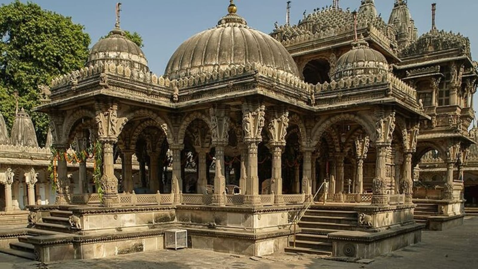 Temples & Wildlife Tour of Gujarat