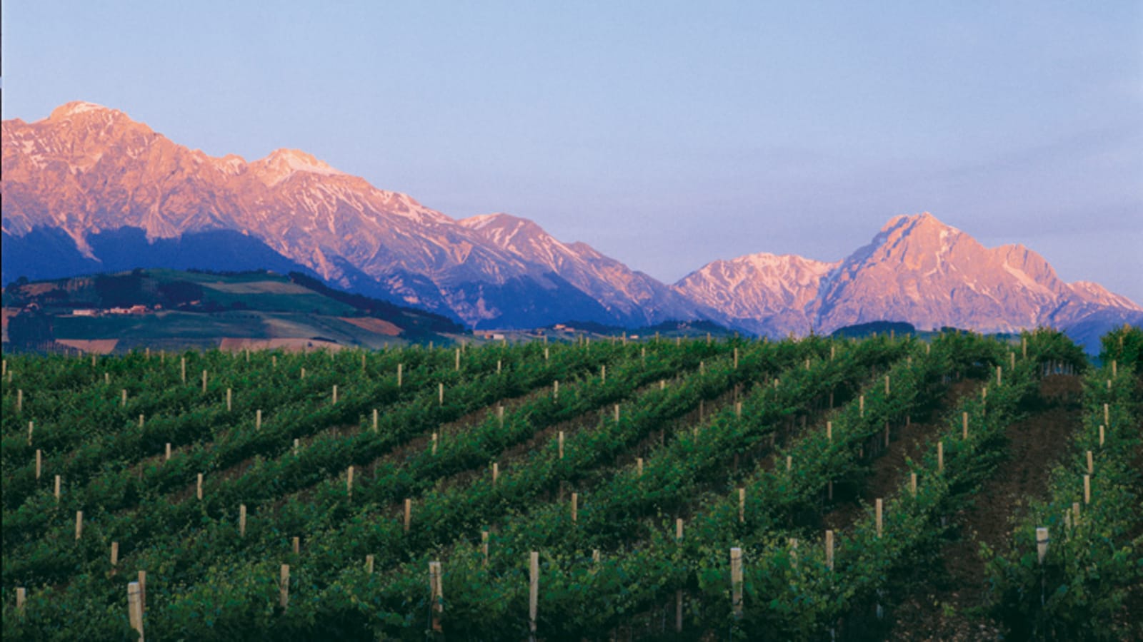 Visit and Tasting at the San Lorenzo's winery, among old houses and of its green coutryside