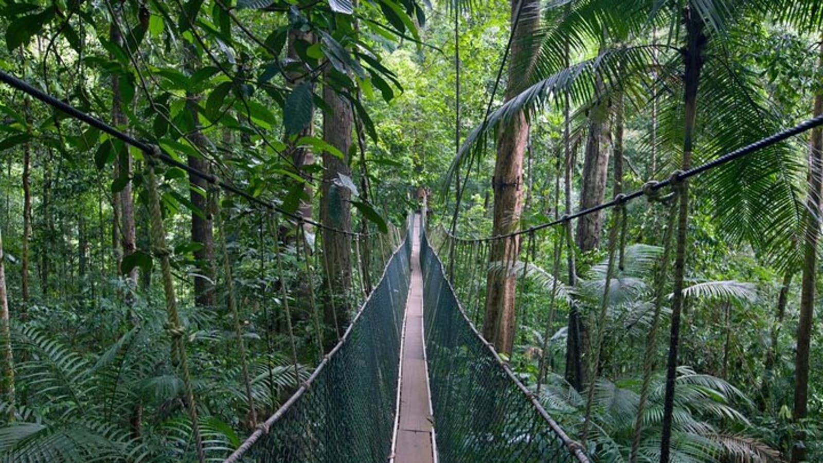 Shared Taman Negara Nature Tour with Lata Berkoh Falls