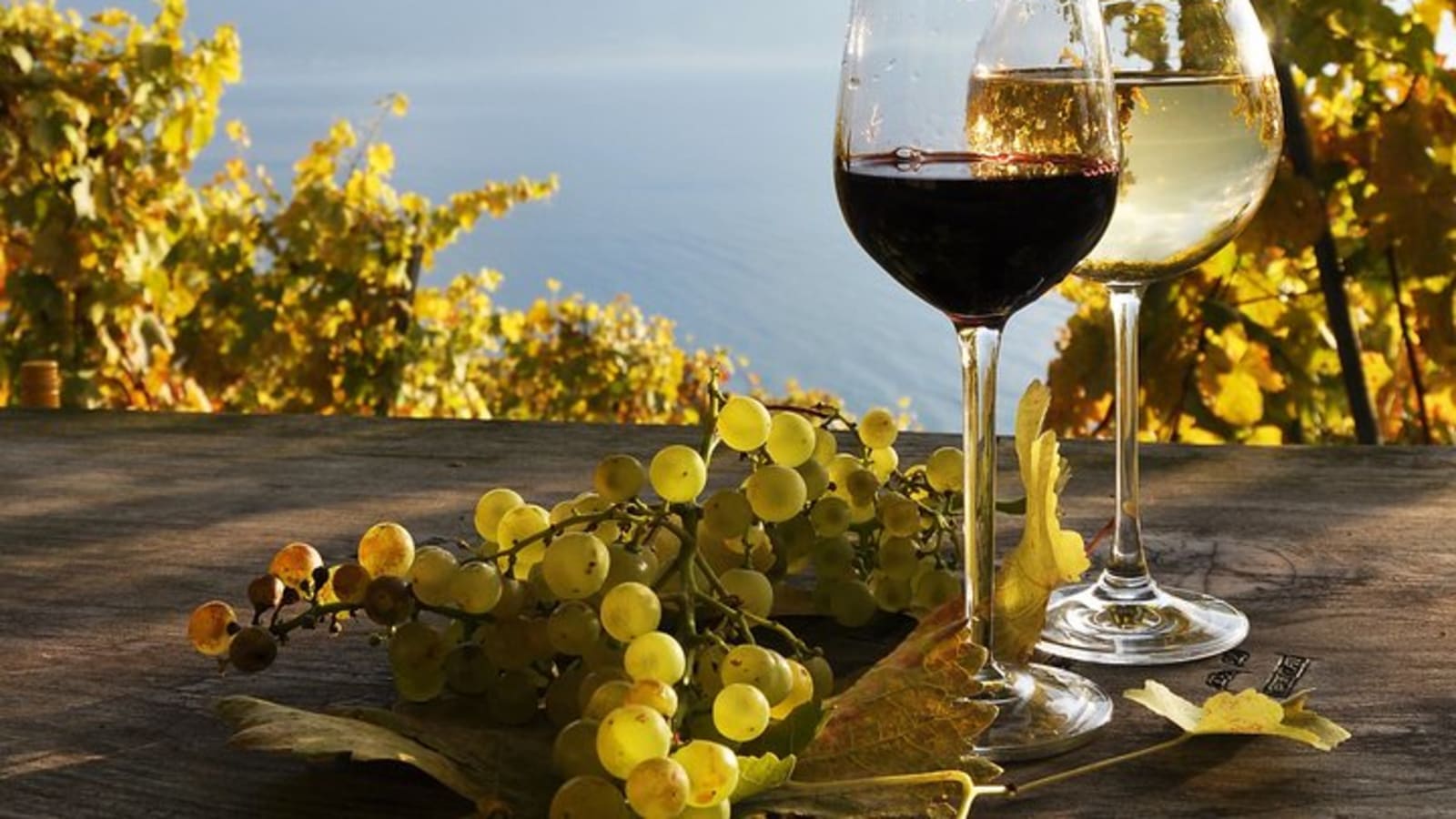 The Vine Tour from Zurich (Private Tour)