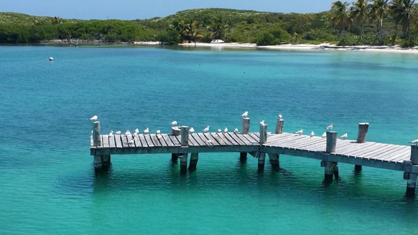 Isla Contoy and Isla Mujeres Tour with Snorkeling