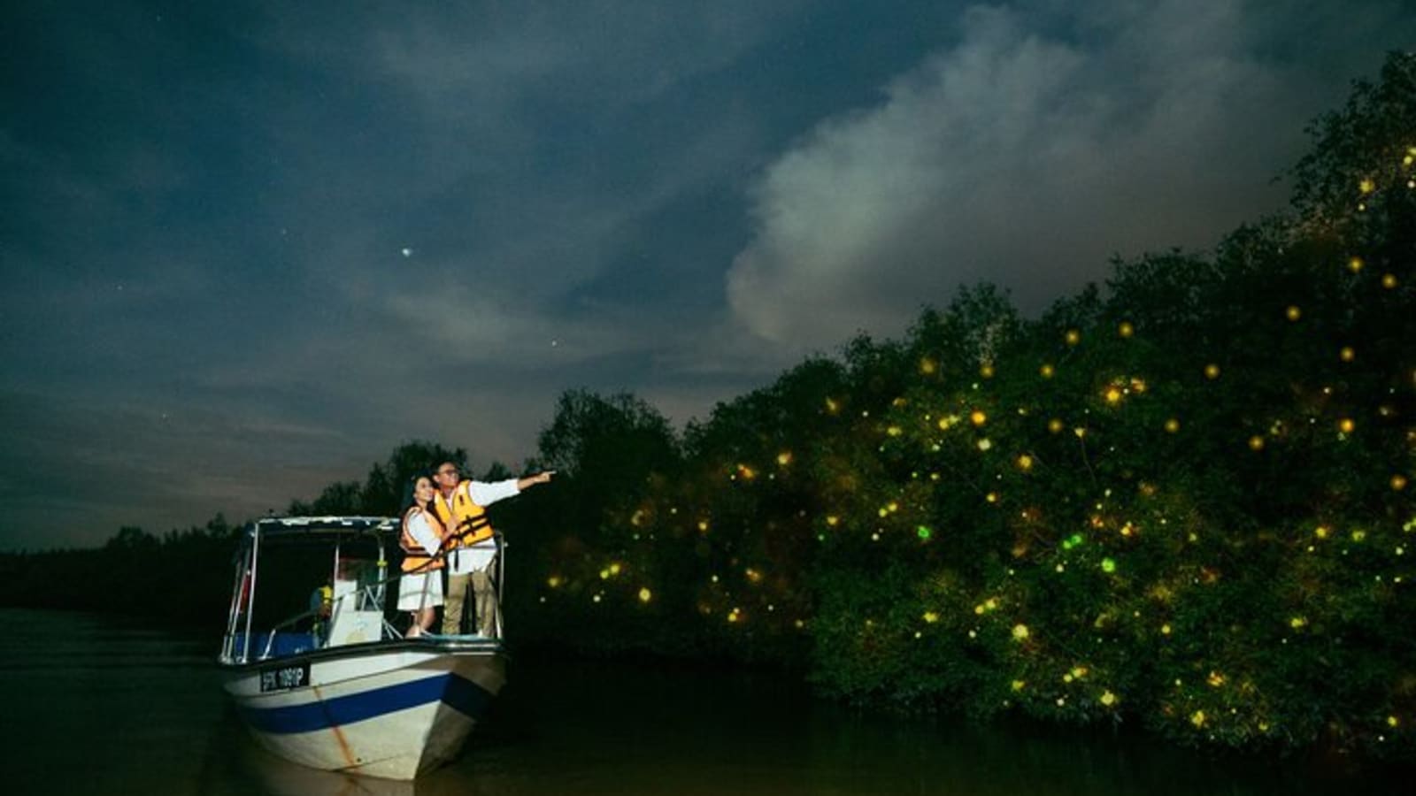 Fireflies and Bioluminescent Night Tour with Seafood Delight (Meet at Location)