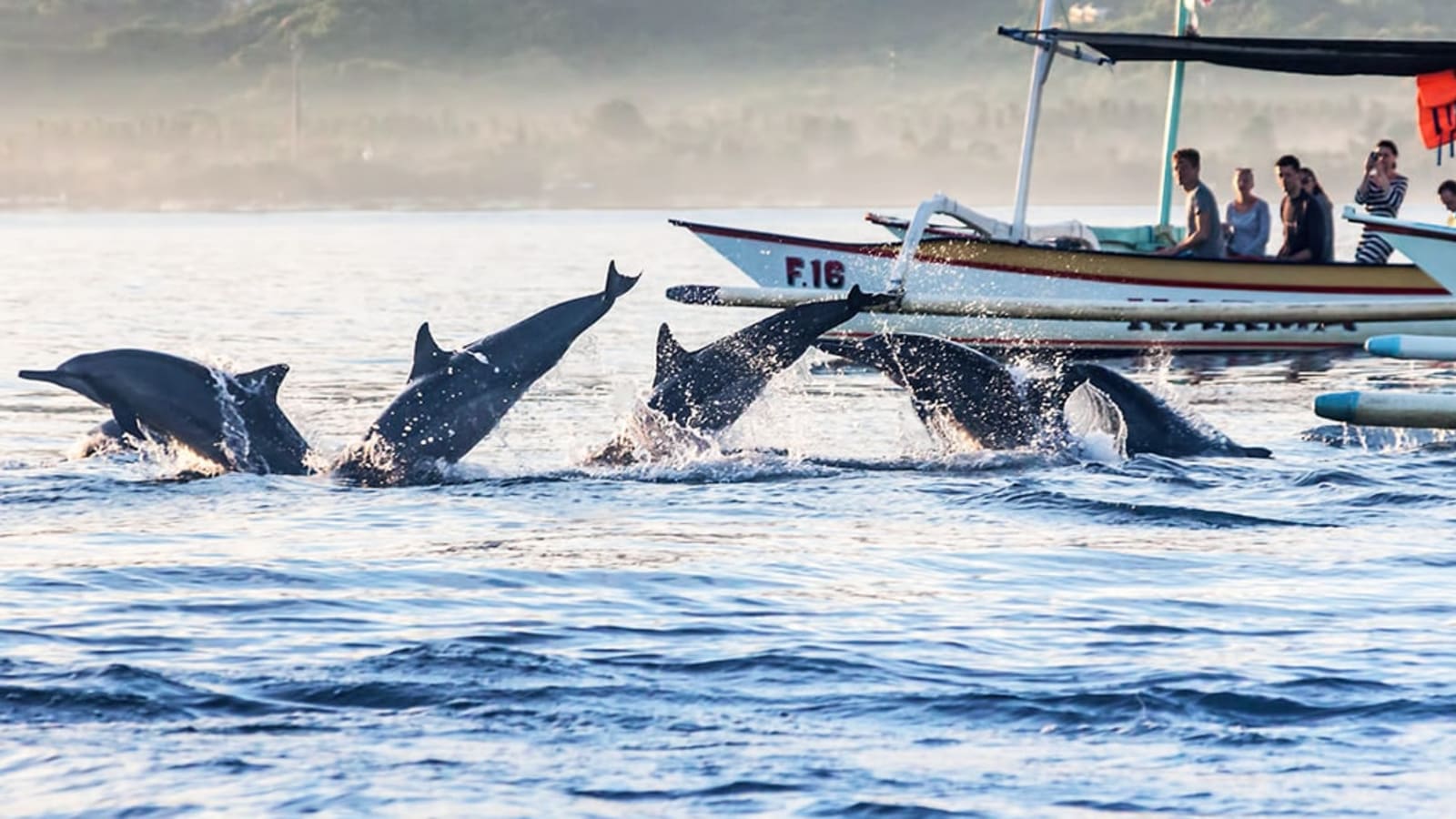 1-Day Lovina Dolphin Watching Tour with Lake Beratan and Tanah Lot