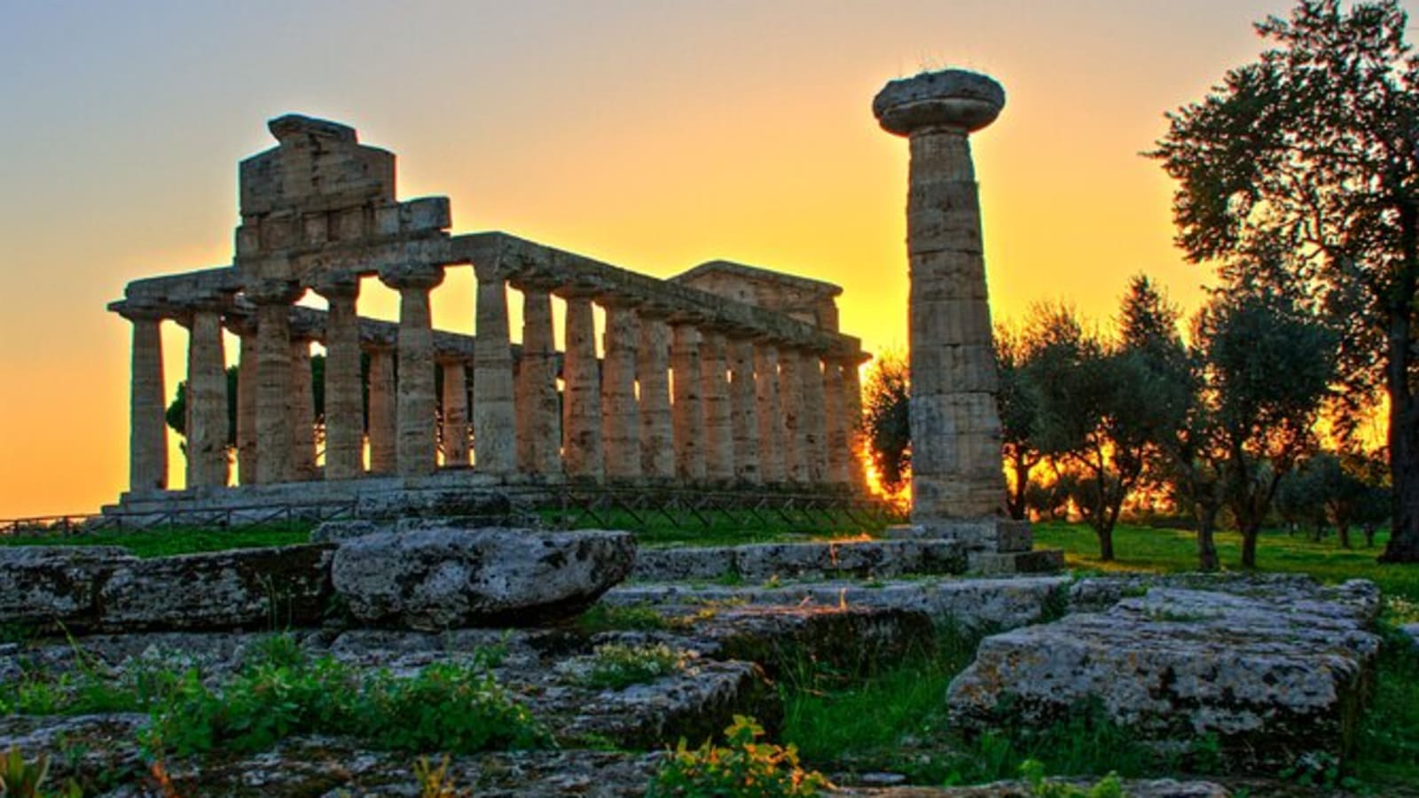 Tour di 1 giorno a Paestum con caseificio e degustazione mozzarella