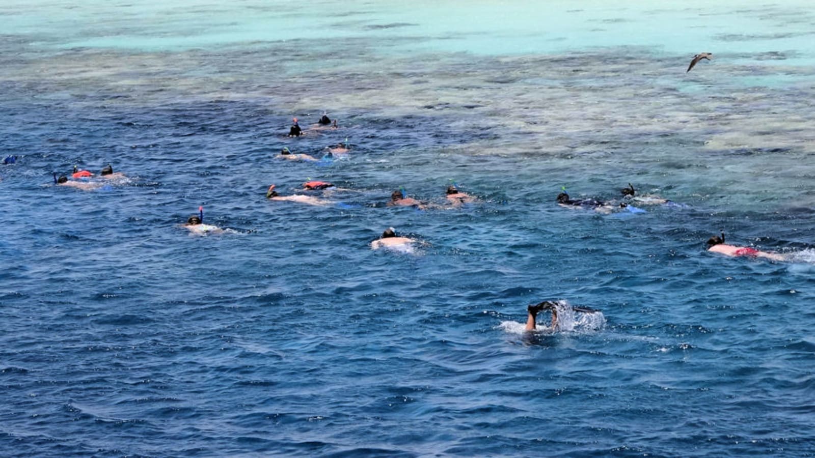 8 heures de snorkeling à Marsa Alam dans le Parc National de Hamata