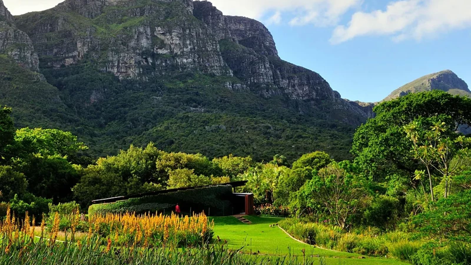 8-Hour Cape Town Sightseeing Tour with Table Mountain and Beau Constantia