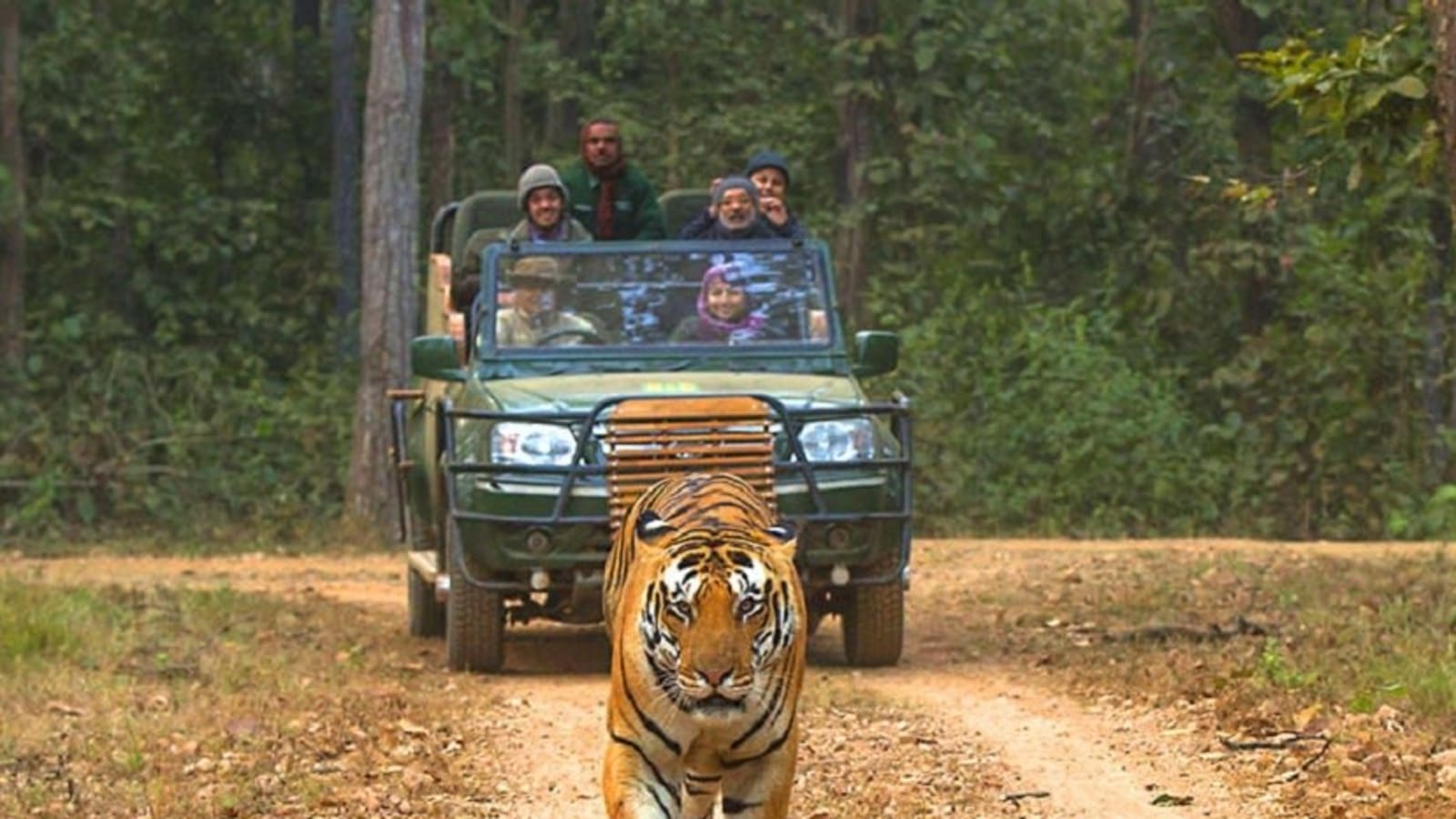 2-Day Kanha Photo Safari Tour with Exclusive Jeep Wildlife Shoots
