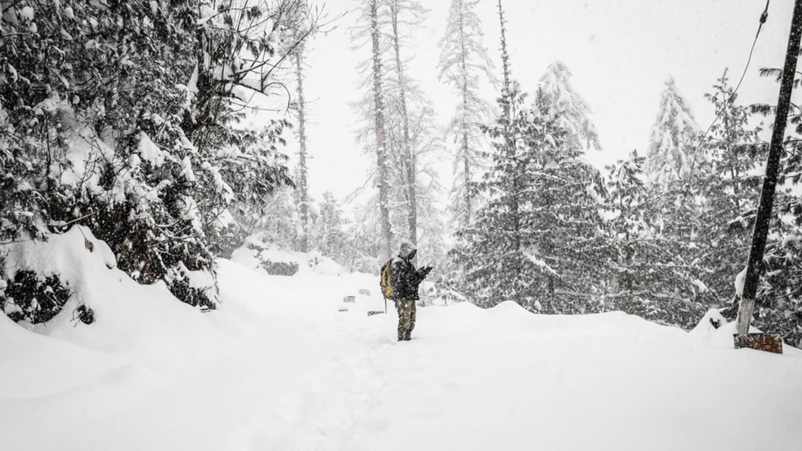 6-Day Shimla and Manali Honeymoon Tour with Kufri and Solang Valley