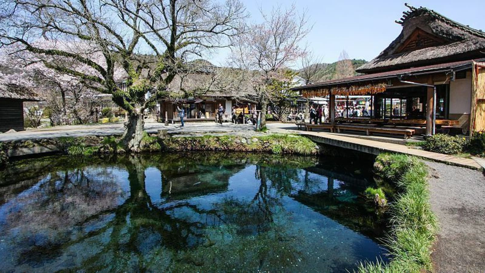 1-Day Mount Fuji Tour from Tokyo with Oshino Hakkai and Kawaguchiko