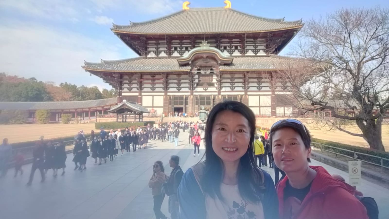 9-Hour Private Nara Tour from Osaka with Deer Park and Tōdai-ji