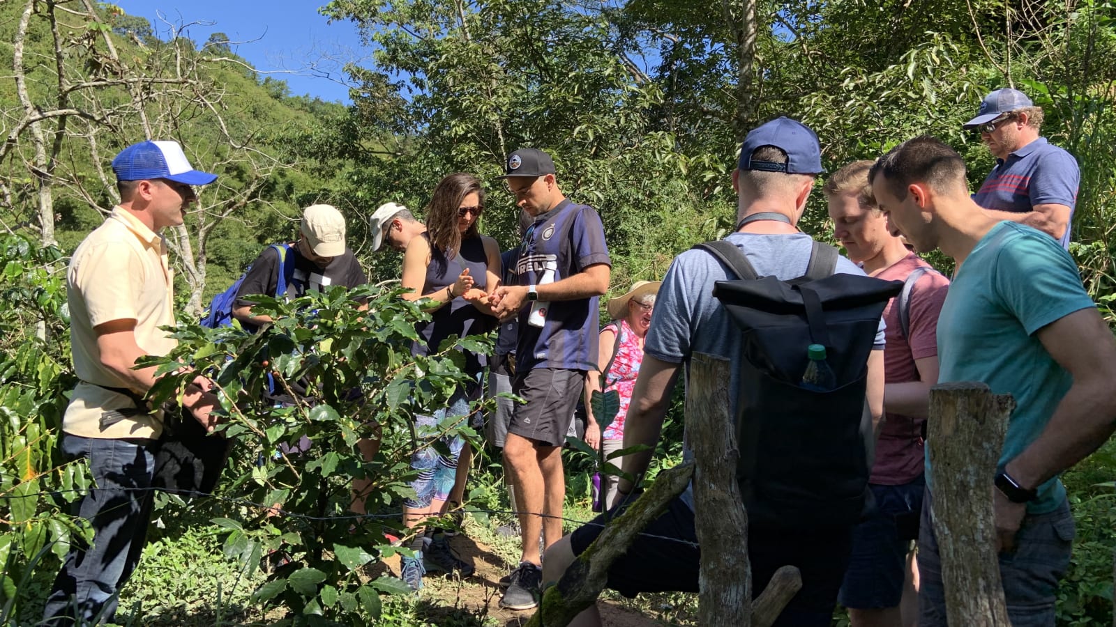 7-Hour Minca Coffee Tour with Marinka Waterfalls and Cocoa Experience