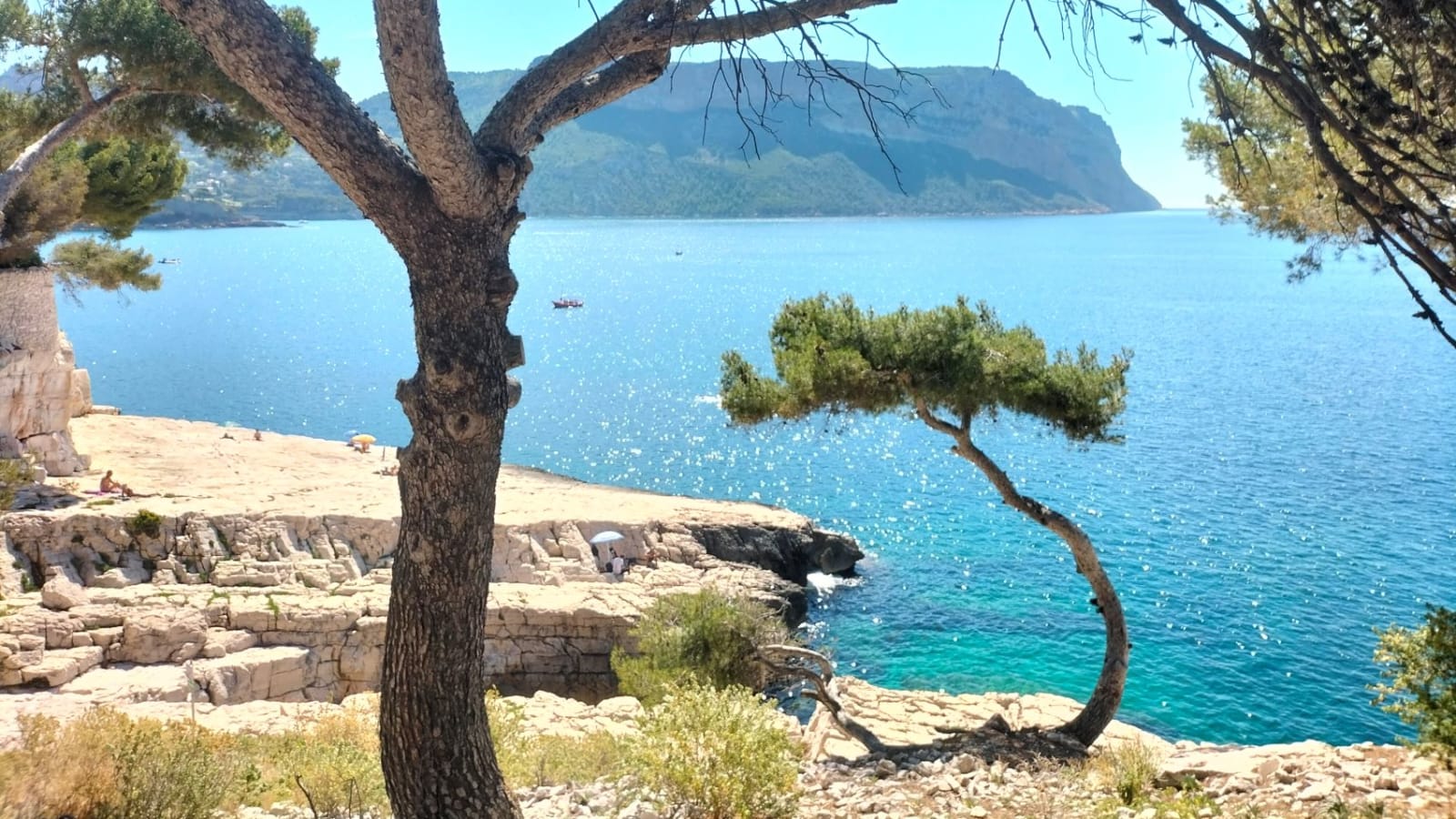 7-Hour Provence Private Tour with Cassis Calanques and Wine Tasting