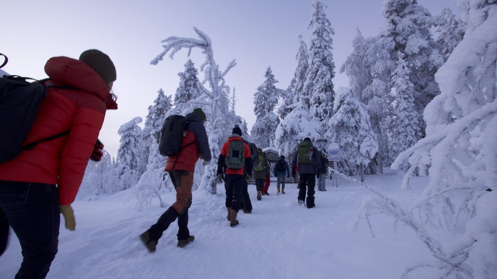 4-Hour Walking Tour in Kuusamo with Finnish Taiga and Coffee by Fire