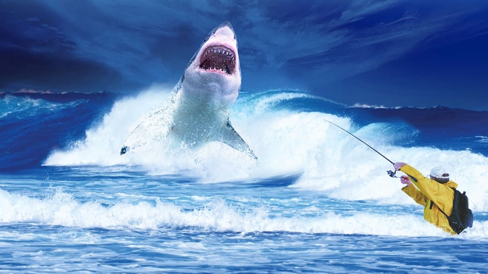 One-Day Shark Cage Diving Trip in Gansbaai with Great White Sharks