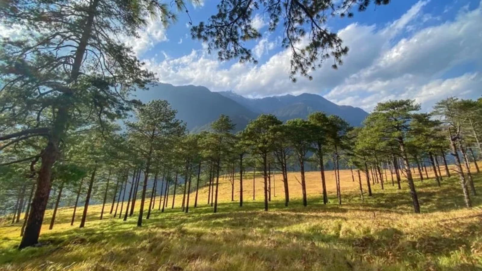 7-Day Assam to Arunachal Tour with Dong Valley First Sunrise